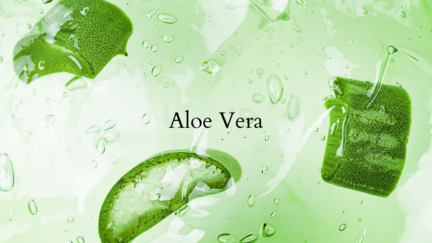 Aloe Vera - Balencio Care®